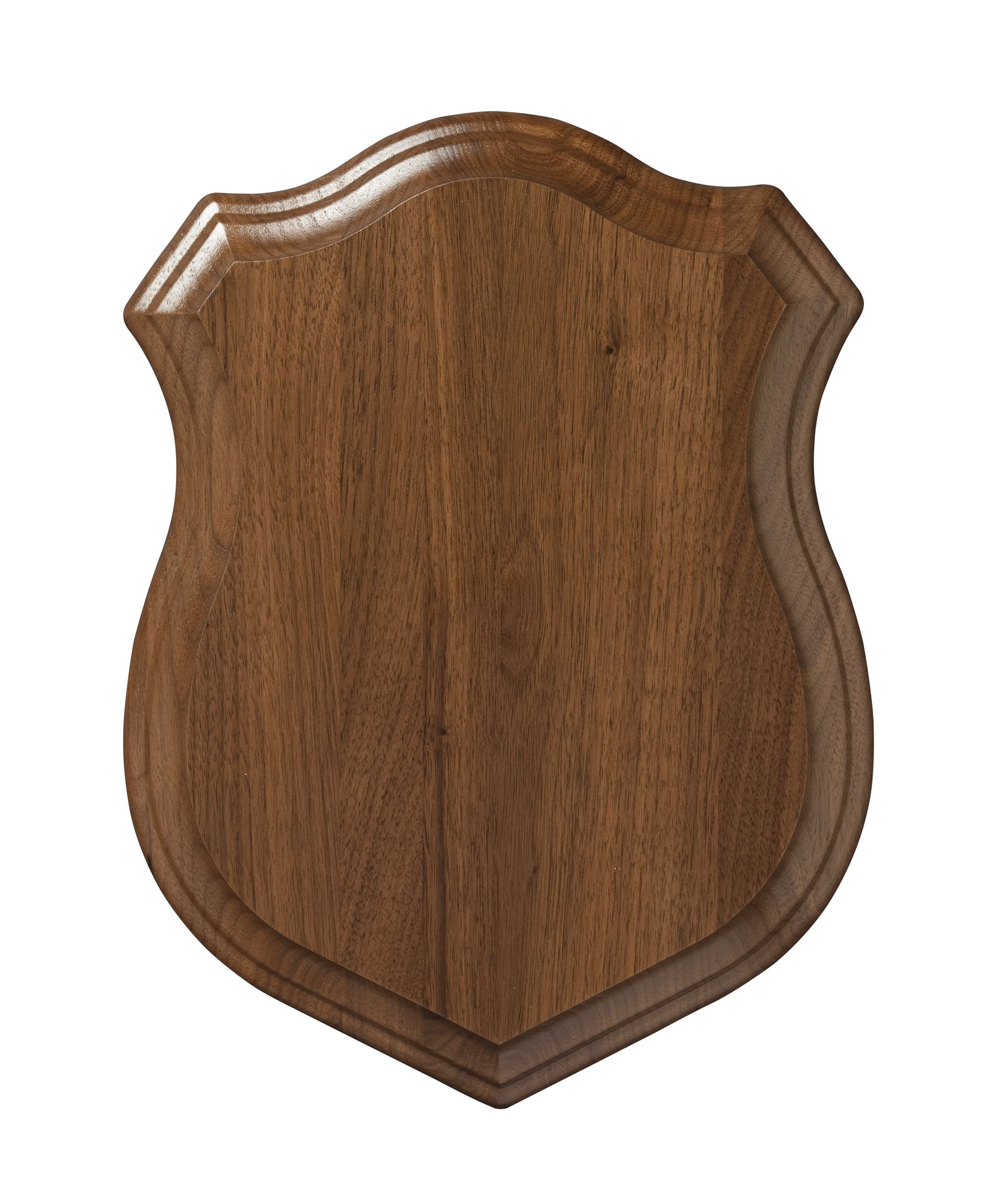 Data security shield icon